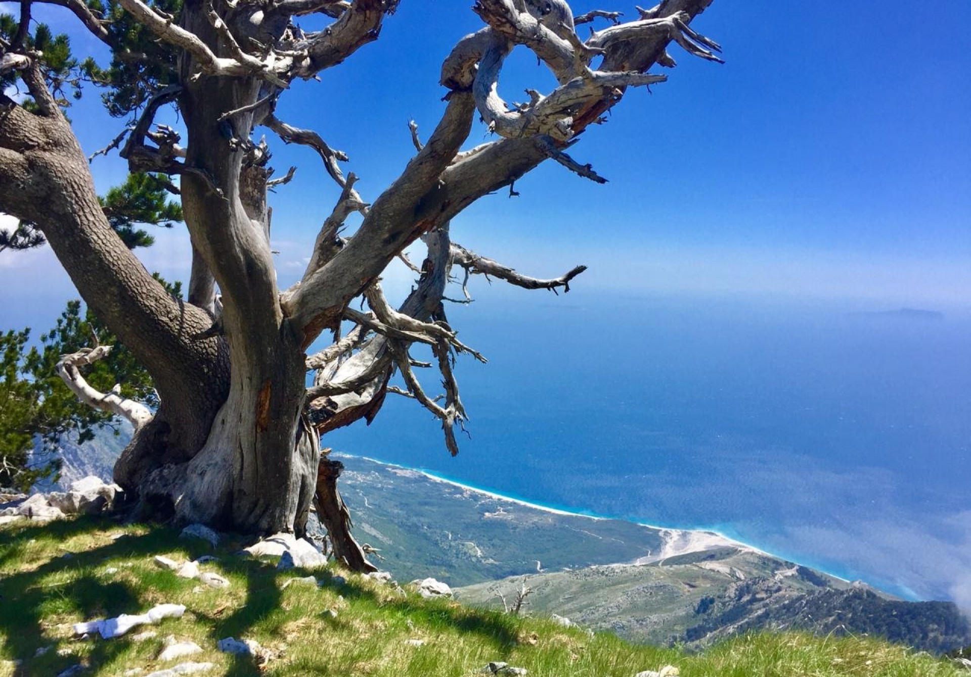 Thirrje për pjesëmarrje në Shkollën Verore!