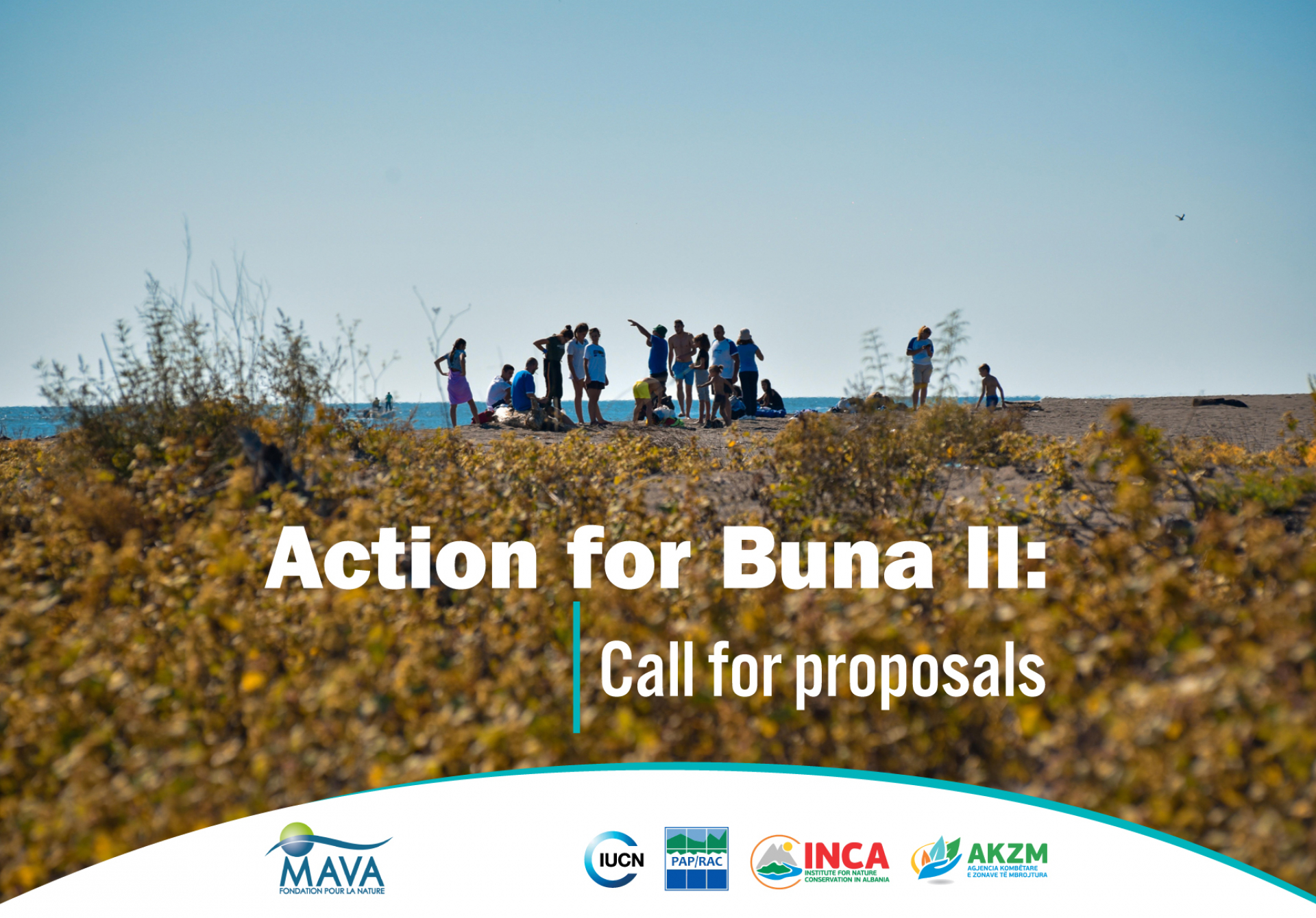 Action for Buna, phase II: Call for proposals 