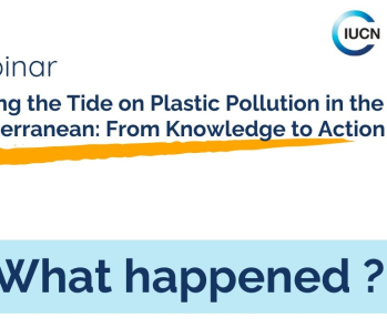 Connecting Science, Policy, and Action to Create a Plastic-Free Future!