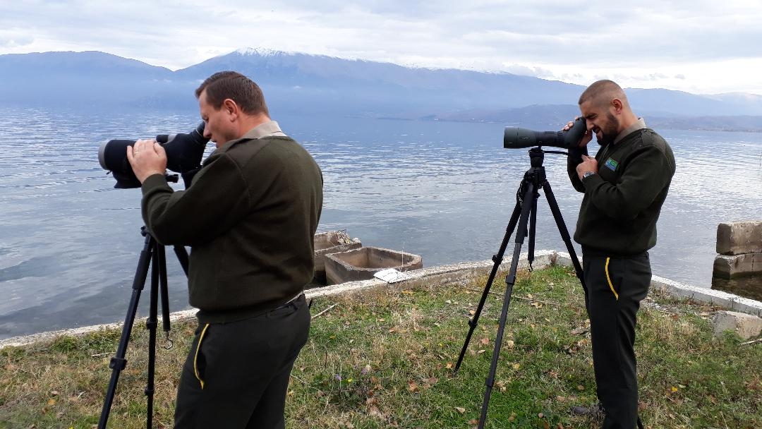 Wild fauna monitoring system; NAPA - WiMS