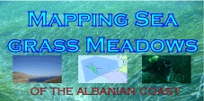 Mapping Sea Grass Meadows